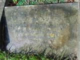 image of grave number 583365